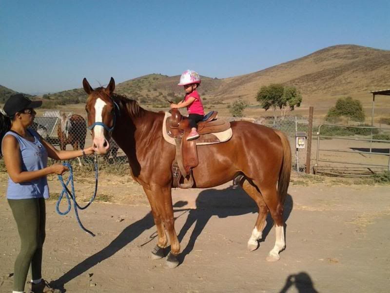 baby riding horse