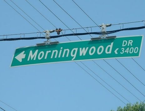 461-morningwood.jpg