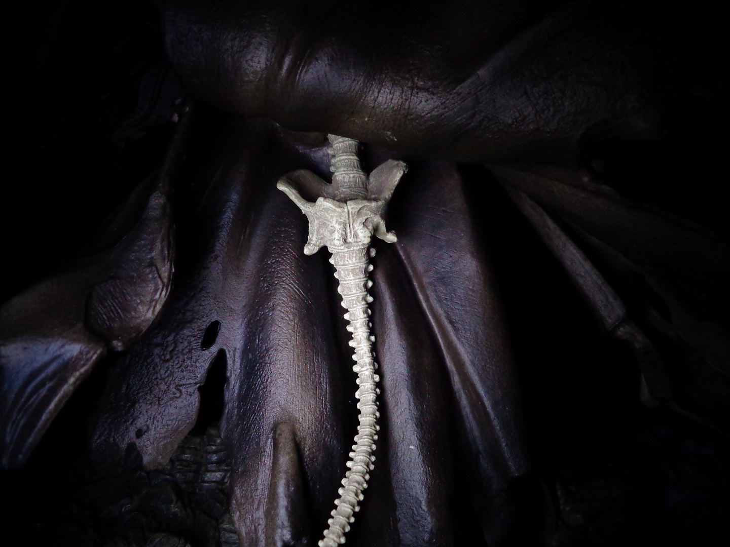 Dementor-Upskirt.png
