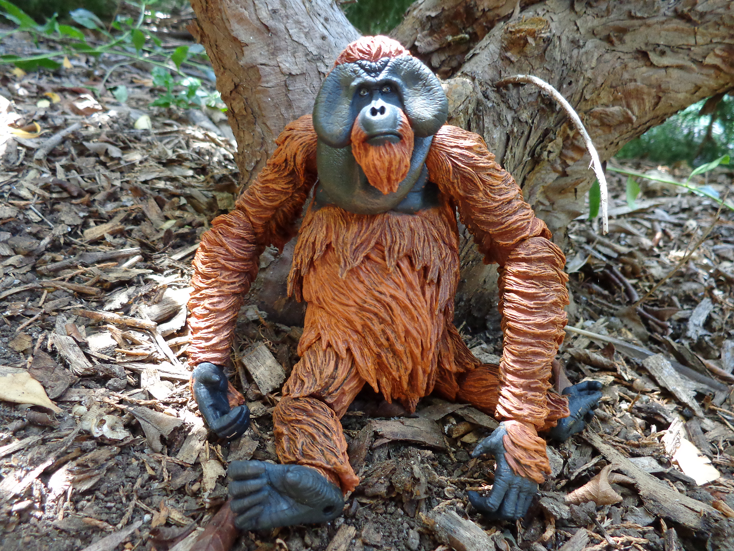 Maurice-Sit.png