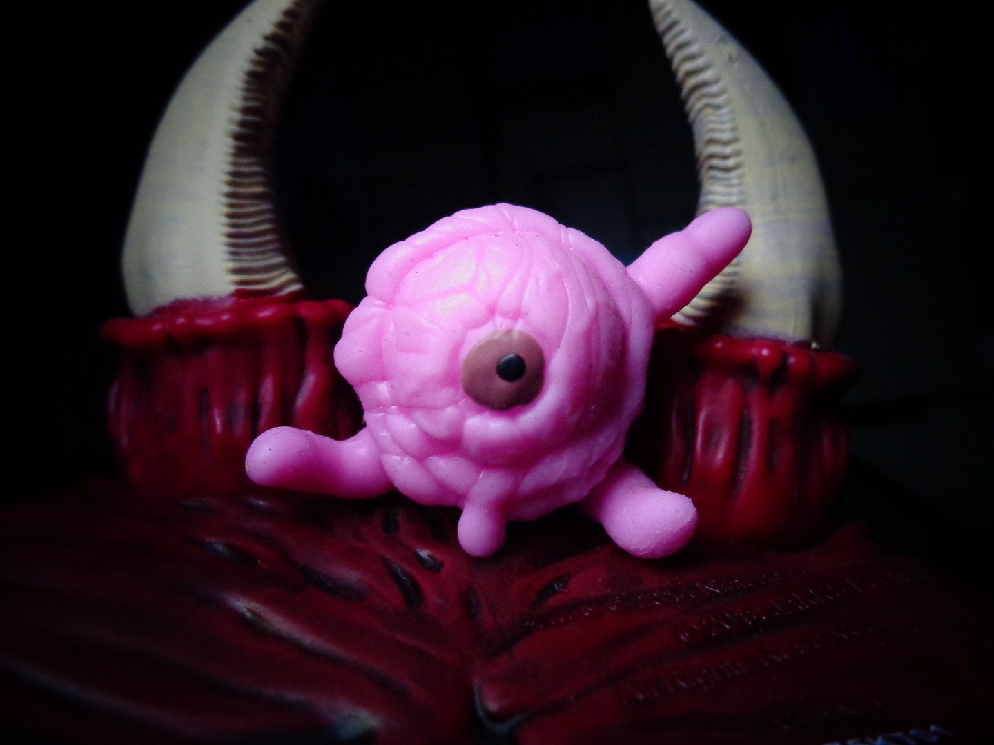 Fungus-Pinky.png