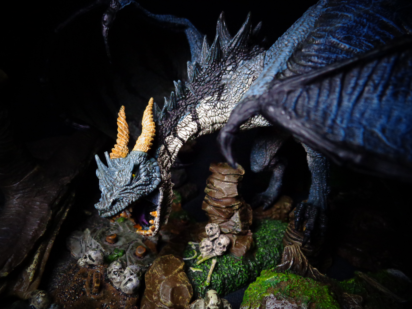 KomodoDragon-Above.png