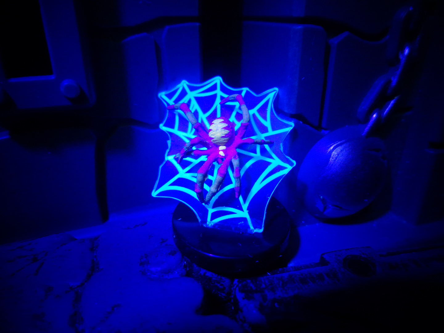 DreamSpider-Dreamland.png