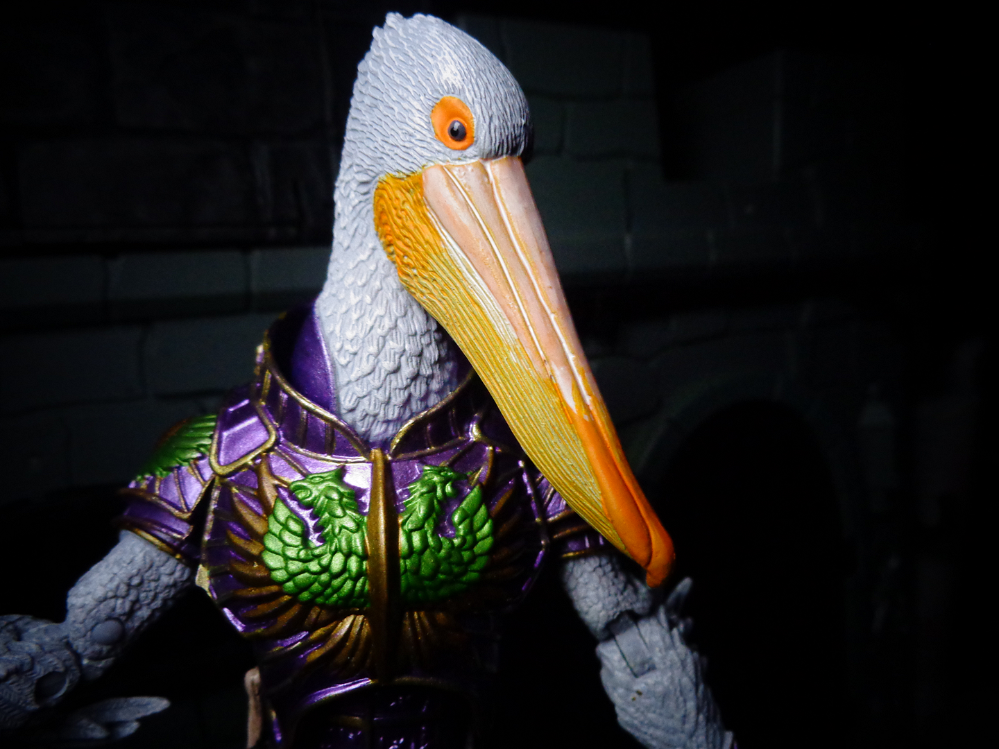 Pelecus-Face.png