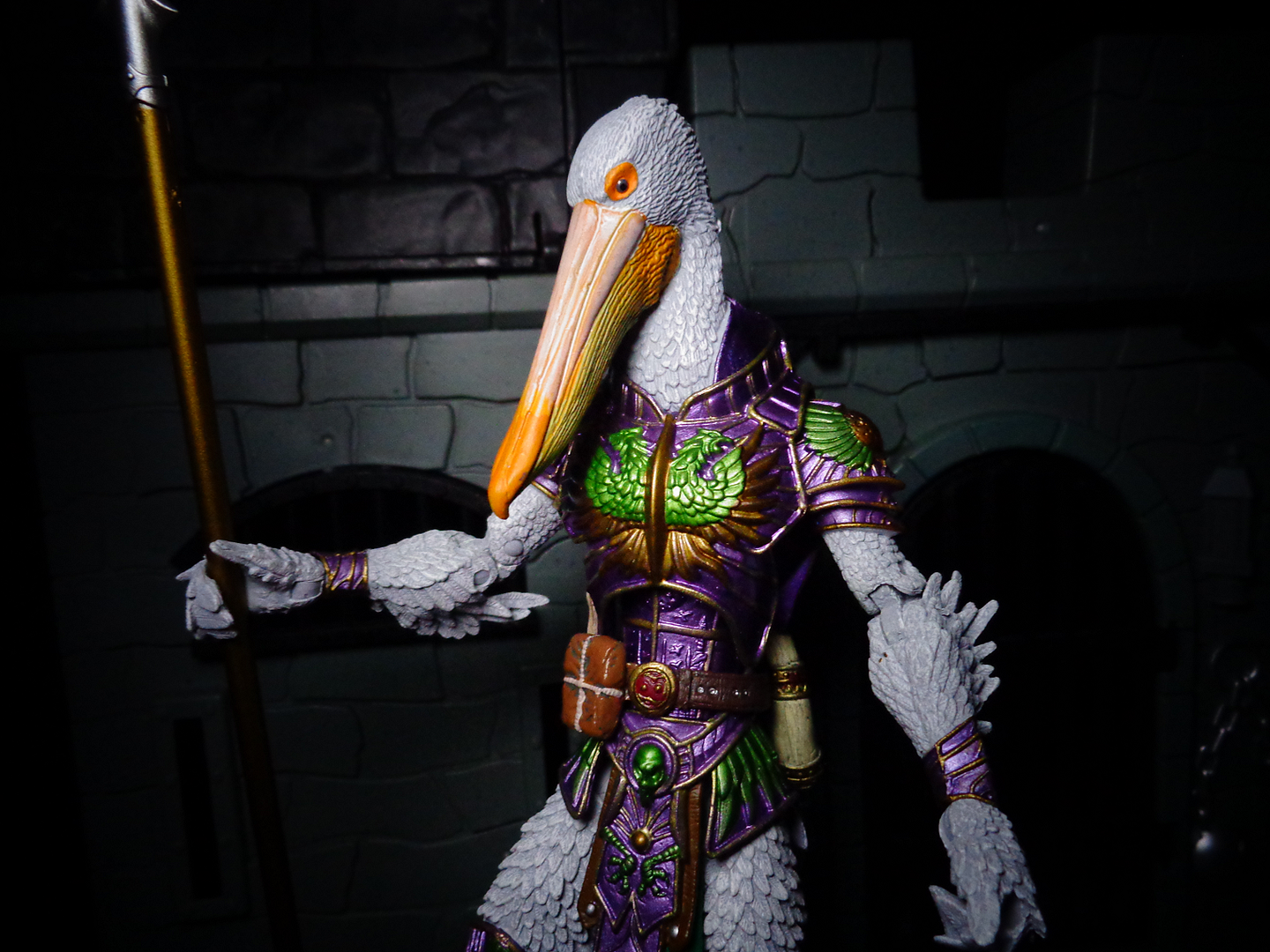 Pelecus.png