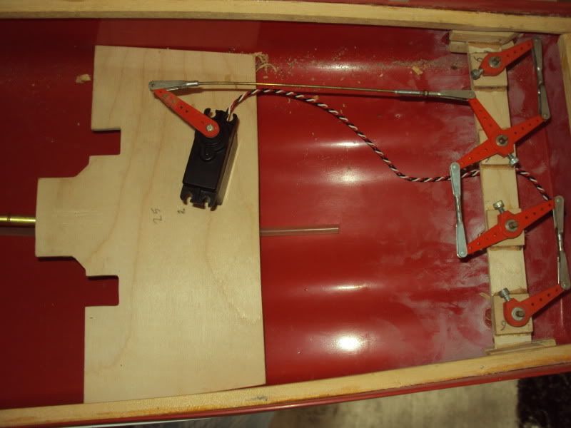 DSC01350.jpg