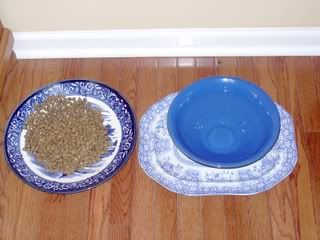 dogbowls for two terriers