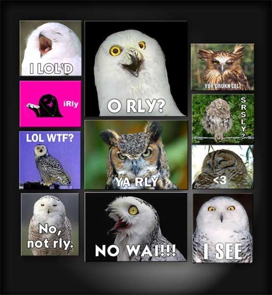 orly-owls-new-ad.jpg