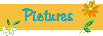 Image hosting by Photobucket