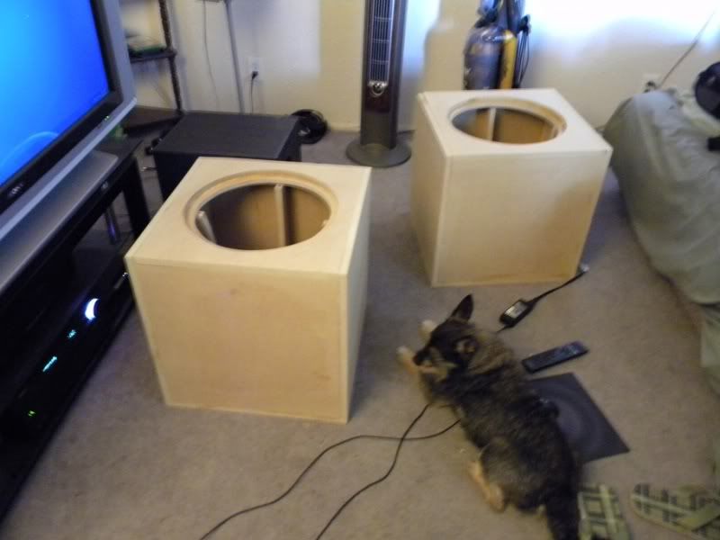 DSCN2114.jpg
