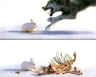 bunny killing wolf