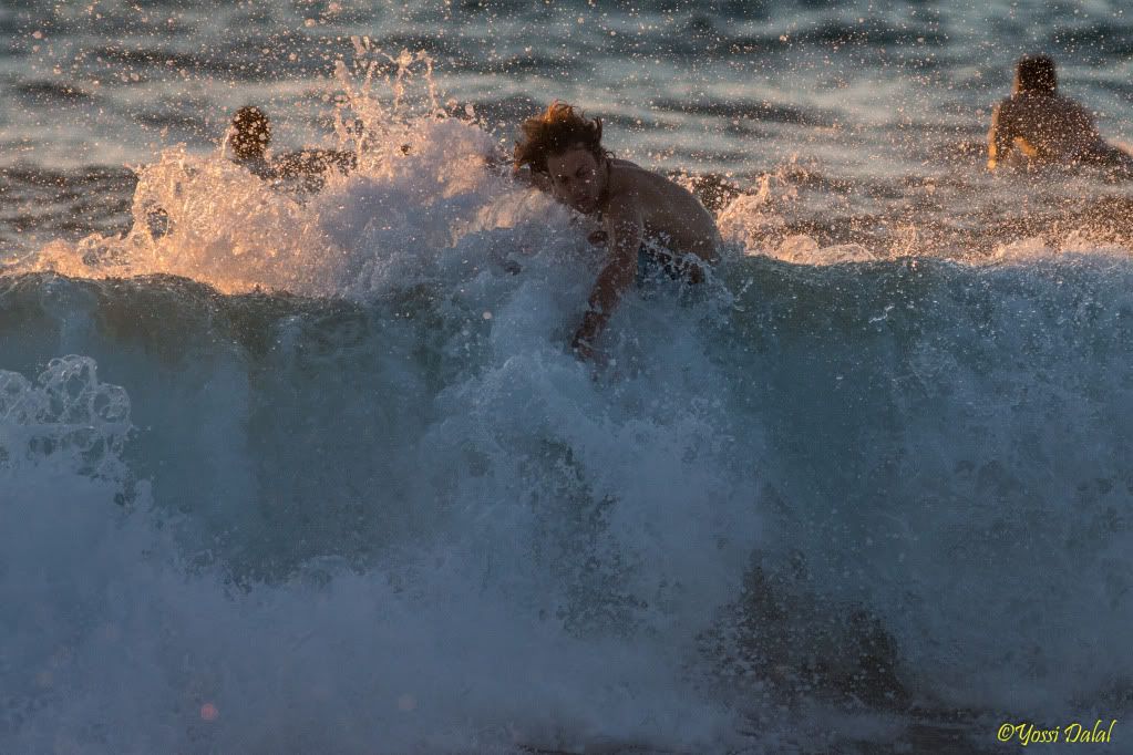 IMAGE: http://i5.photobucket.com/albums/y187/yossid/1D-X%20First%20surf/1DXL1325-2.jpg