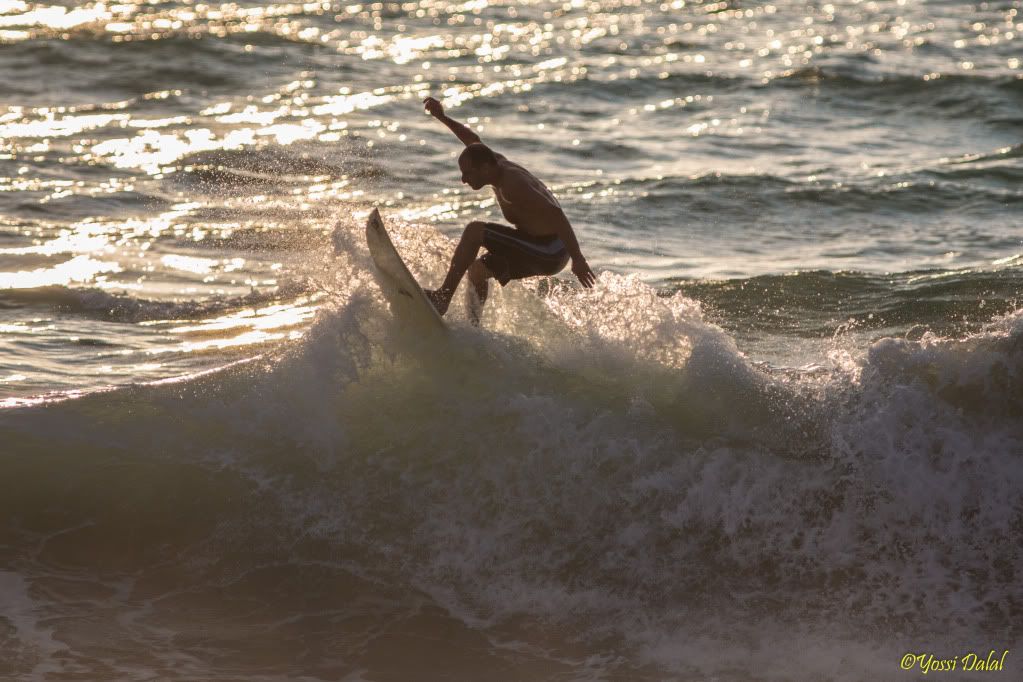 IMAGE: http://i5.photobucket.com/albums/y187/yossid/1D-X%20First%20surf/C44P0042.jpg