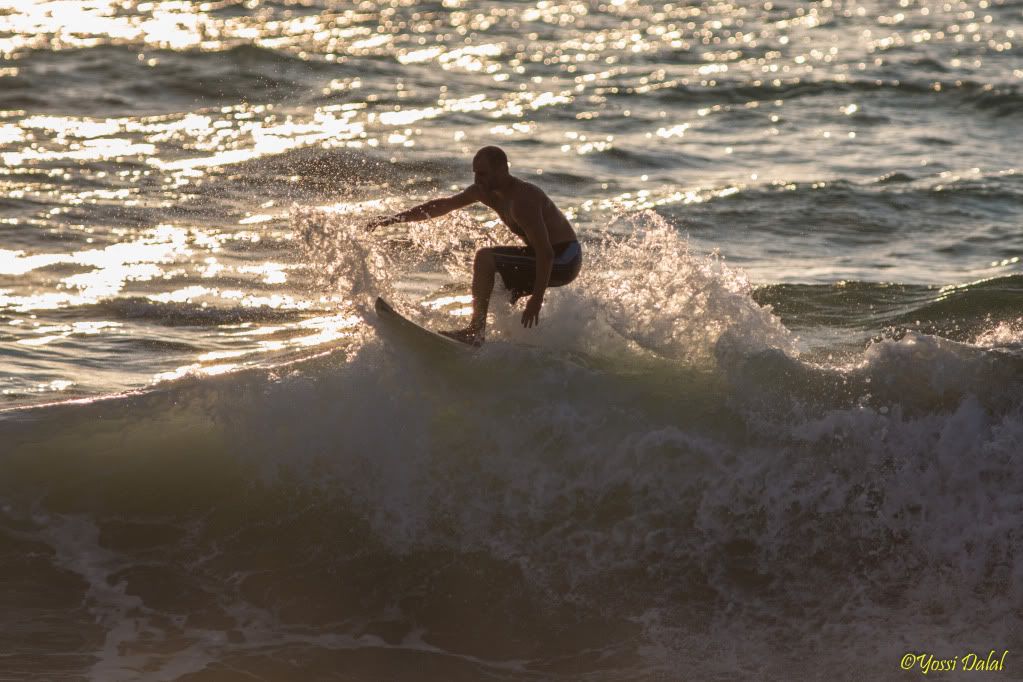 IMAGE: http://i5.photobucket.com/albums/y187/yossid/1D-X%20First%20surf/C44P0044.jpg