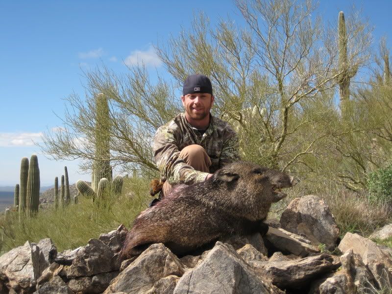 2008Pig008.jpg