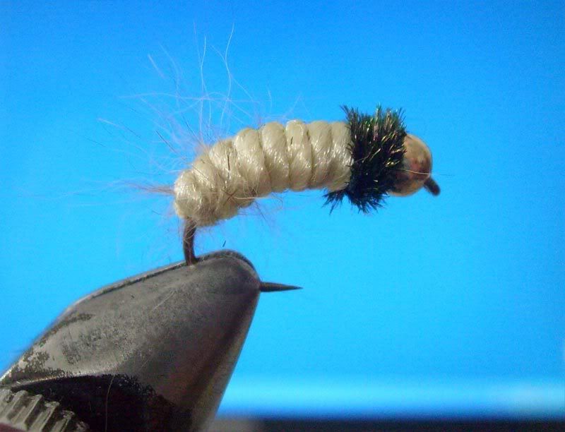 Caddis Larvae Patterns