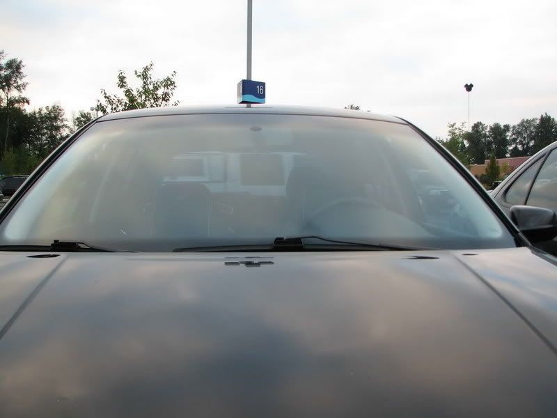 Advise for replacing your Windshield