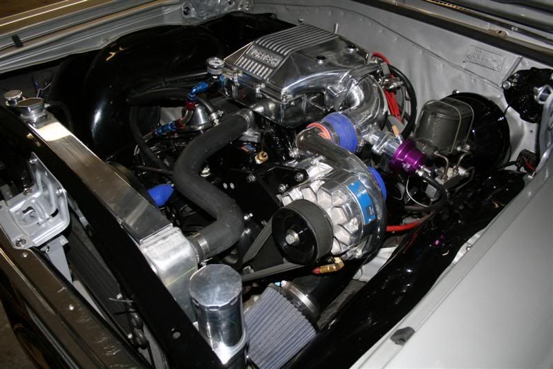 IMG_2814Medium.jpg