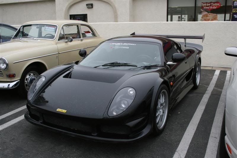 IMG_2815Medium.jpg
