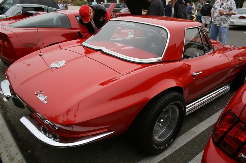 IMG_2823Medium.jpg