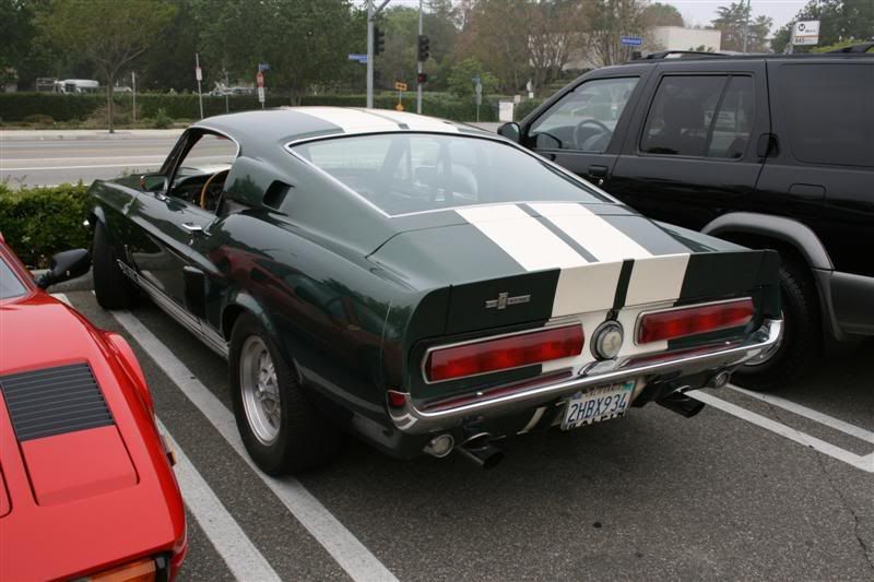 IMG_2825Medium.jpg