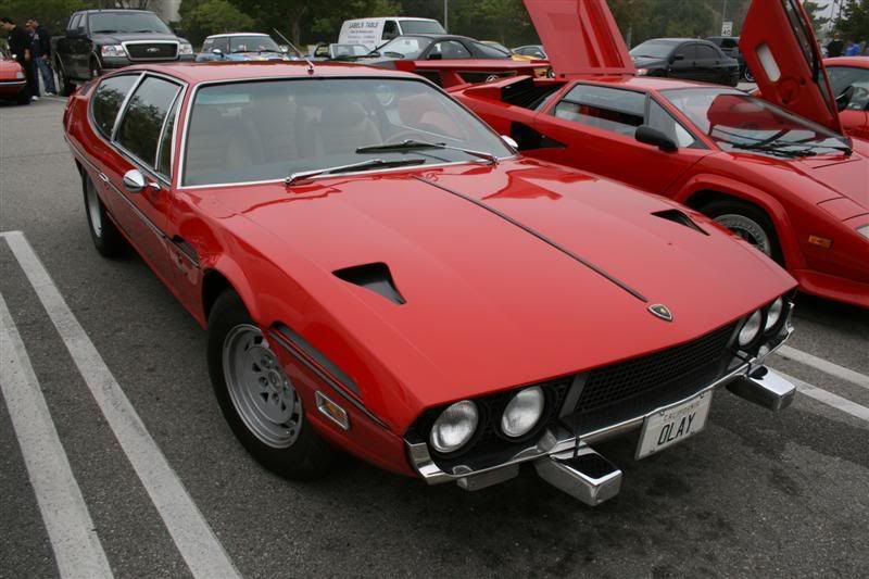 IMG_2831Medium.jpg