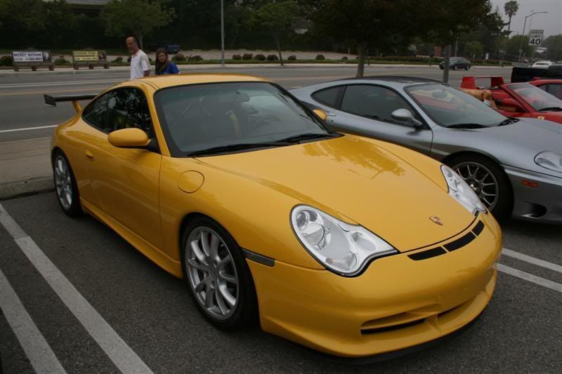 IMG_2846Medium.jpg