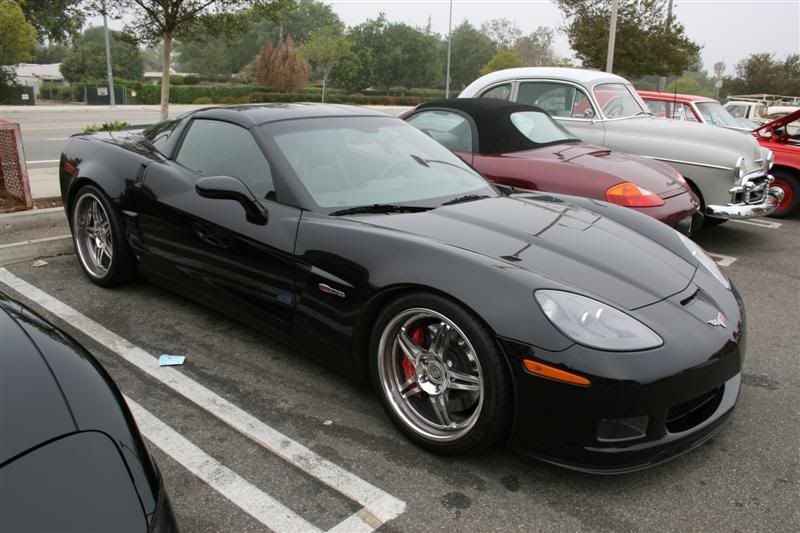 IMG_2853Medium.jpg
