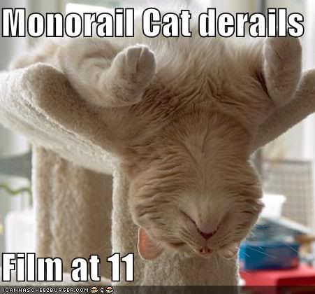 monorail cat gif. hot under cat gif pictures