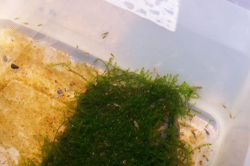 000_0446.jpg