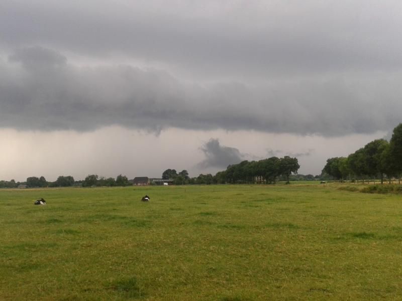 20140720_175202.jpg