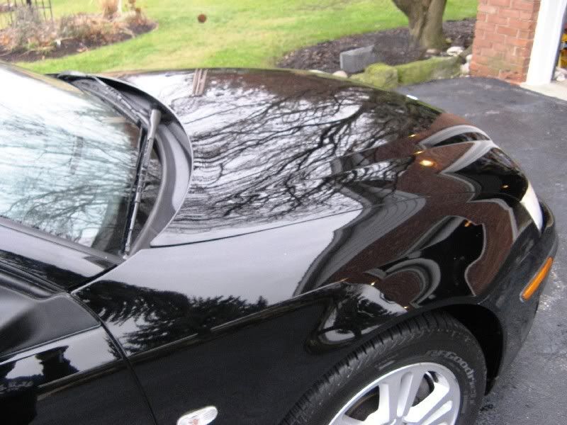 saab-hood.jpg