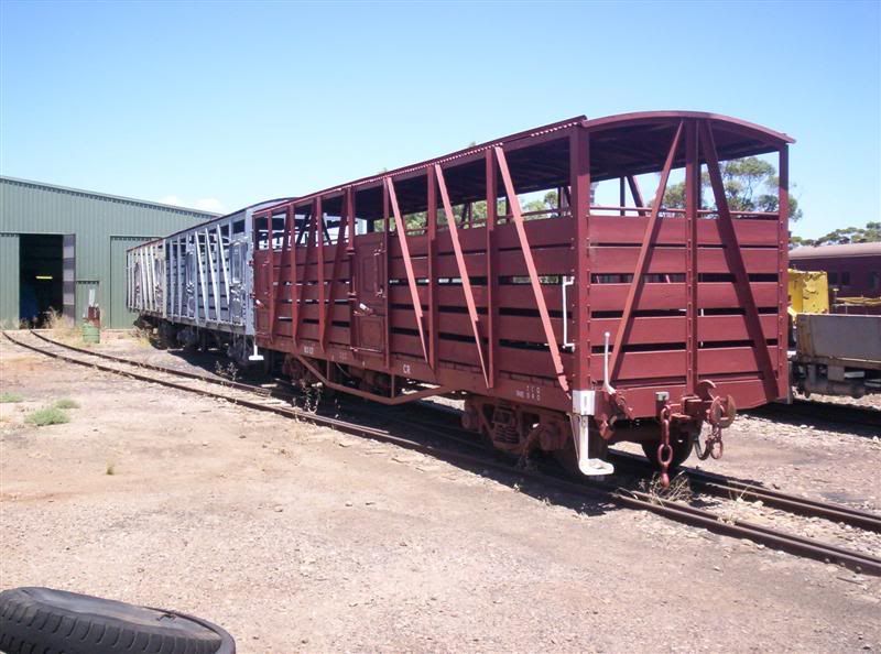 PichiRichi22Medium.jpg