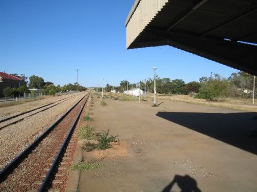 Picture049.jpg