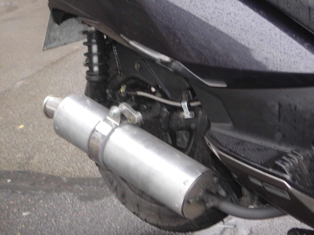 DSC07231.jpg
