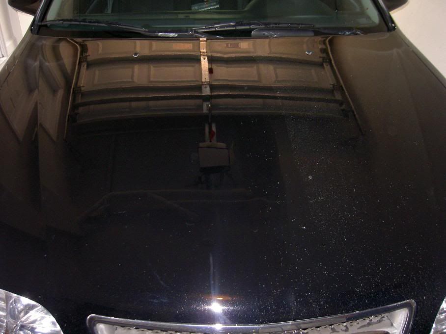 PICT0256.jpg
