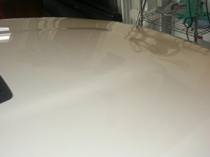 PICT0393.jpg
