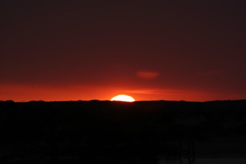 IMAGE: http://i5.photobucket.com/albums/y190/Enkonta/IMG_2486-1.jpg