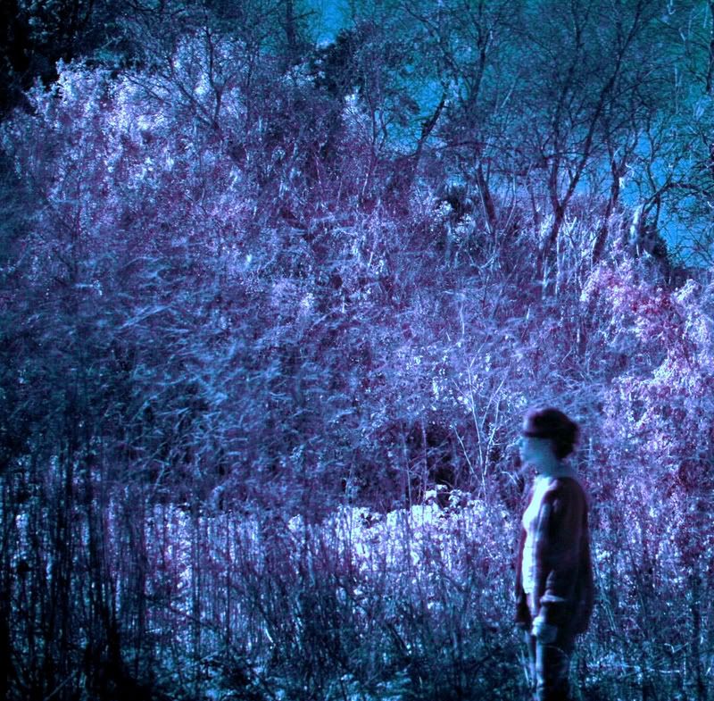 IMAGE: http://i5.photobucket.com/albums/y190/Enkonta/IMG_4071copy1.jpg