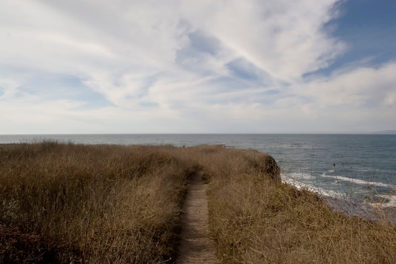 IMAGE: http://i5.photobucket.com/albums/y190/Enkonta/blufftrial1.jpg