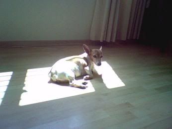 Image hosted by Photobucket.com