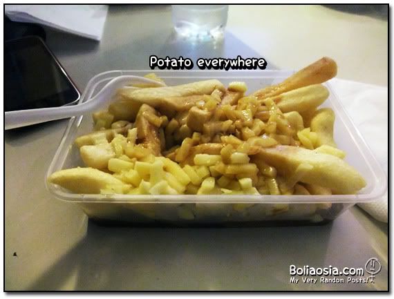 fries with cheese