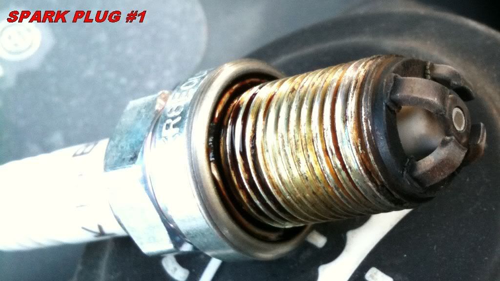 Why would there be oil around spark plugs?