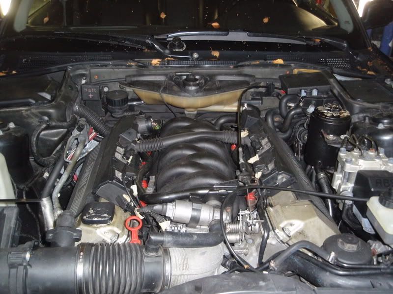PA160158.jpg