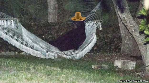 bearstraw-hat.jpg