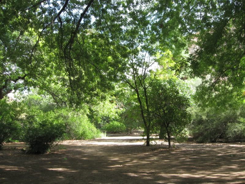 Ceremony location