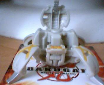 Picture019.jpg