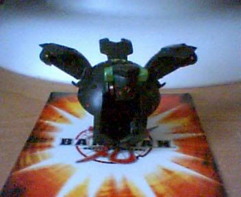 Picture065-1.jpg