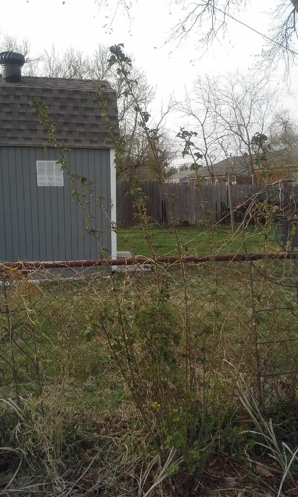  photo 20140402_180923.jpg