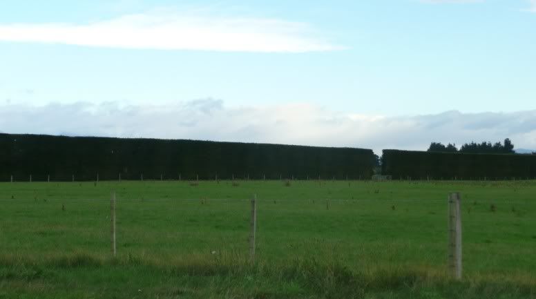http://i5.photobucket.com/albums/y193/Braybuddy/nz2.jpg